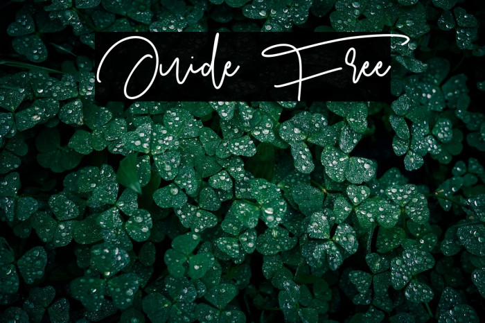 Juide Free Example 1