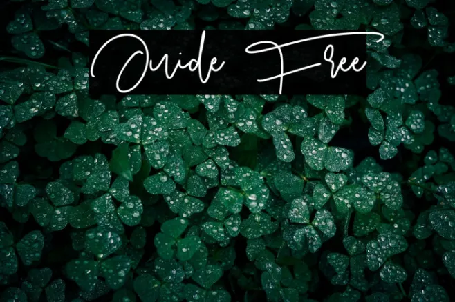 Juide Free Example 1