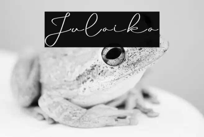 Julaika फ़ॉन्ट examples