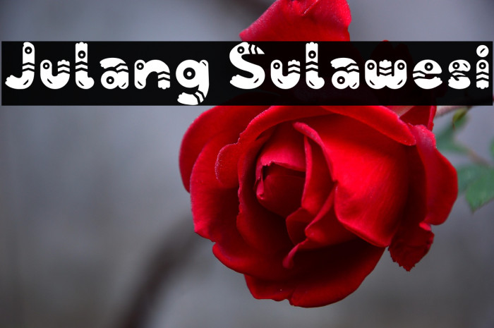 Julang Sulawesi Example 1