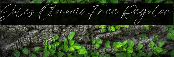 Jules Otonomi Free Regular Example 3