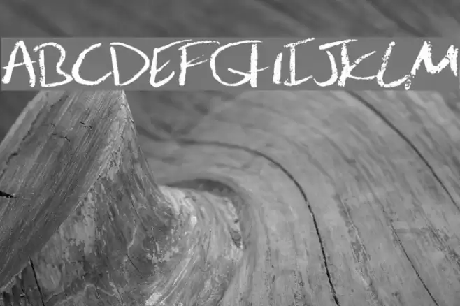 JulesHand Polices examples