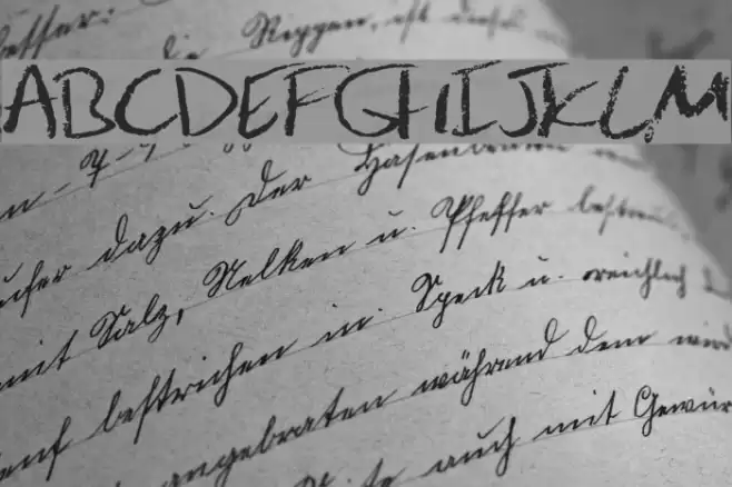 JulesHand Polices examples