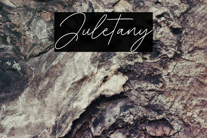 Juletany Fuentes examples