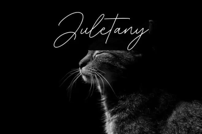 Juletany फ़ॉन्ट examples