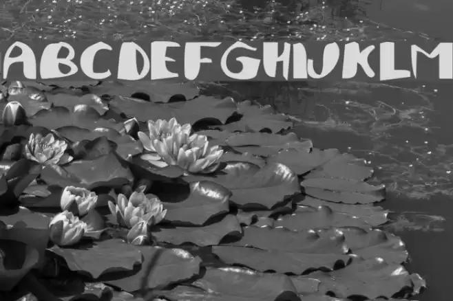 JuliFesta Bold Font examples