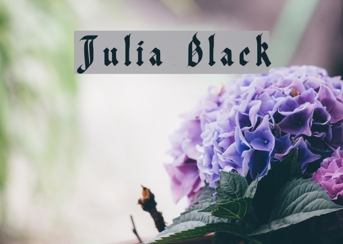 Julia Black Font examples