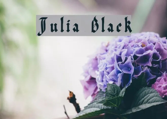 Julia Black Example 1