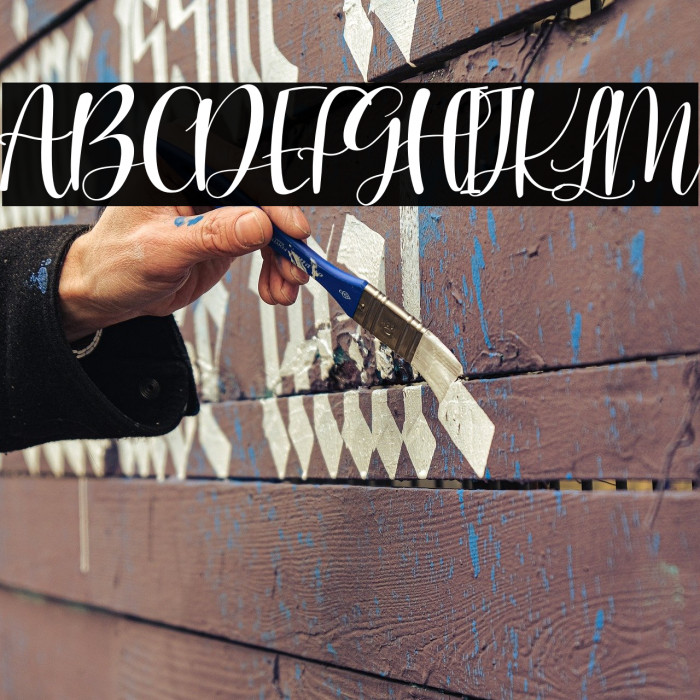 Julia Carlos Example 3