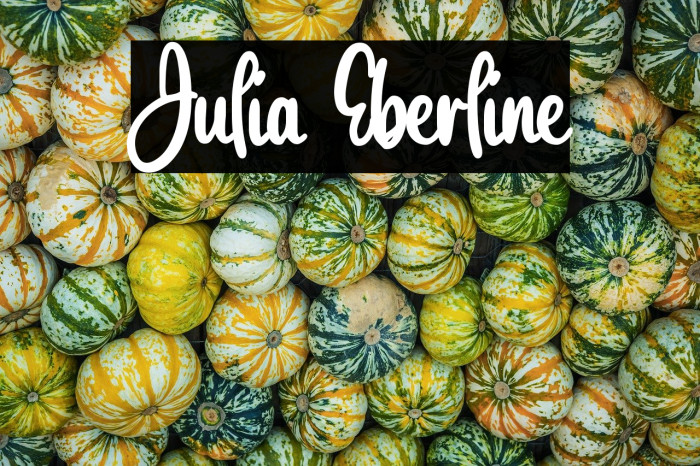 Julia Eberline Example 1