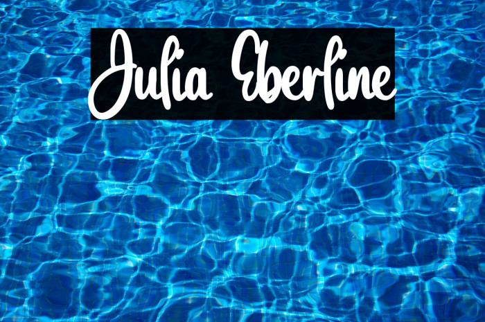 Julia Eberline Example 2