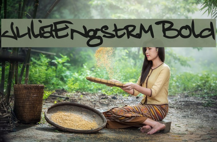 JuliaEngstrm Bold Font examples
