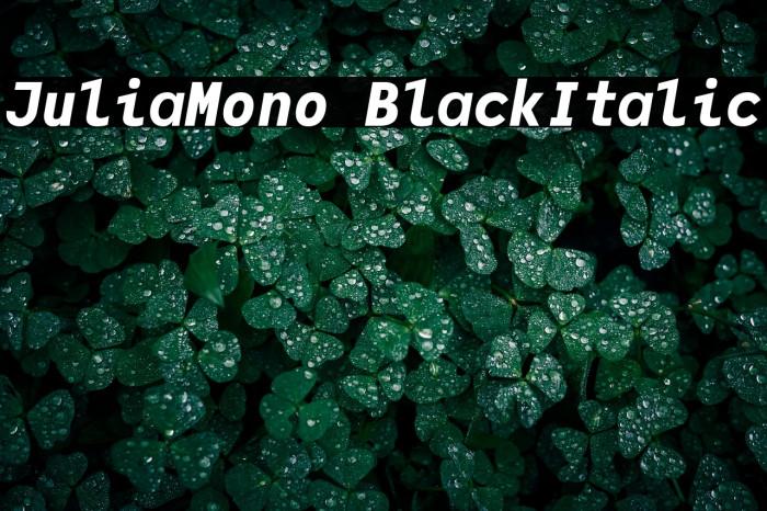 JuliaMono BlackItalic Example 2