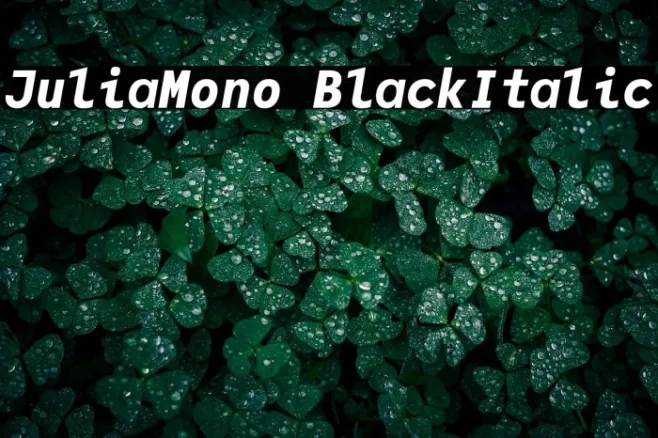 JuliaMono BlackItalic Example 2