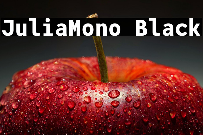 JuliaMono Black Example 3