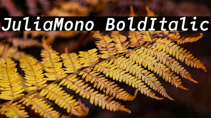 JuliaMono BoldItalic Example 1