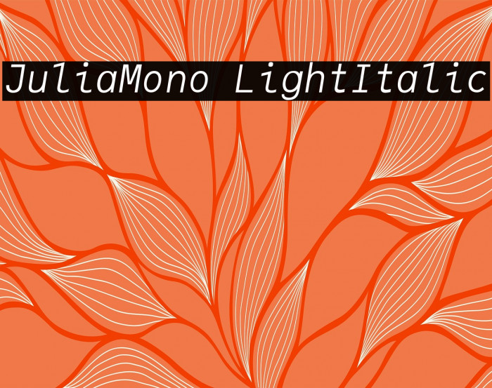 JuliaMono LightItalic Example 1