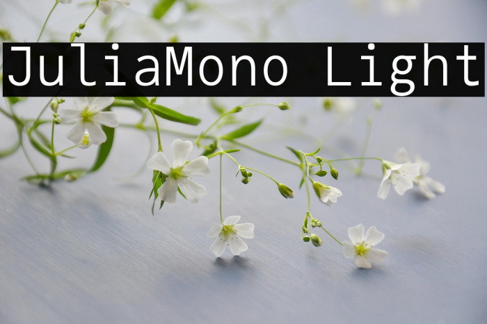 JuliaMono Light Example 2