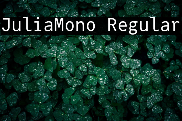 JuliaMono Regular Example 1