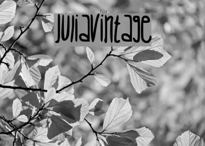 JuliaVintage Font examples