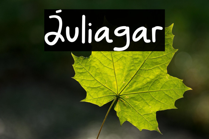 Juliagar Example 3