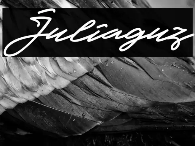 Juliaguz Font examples