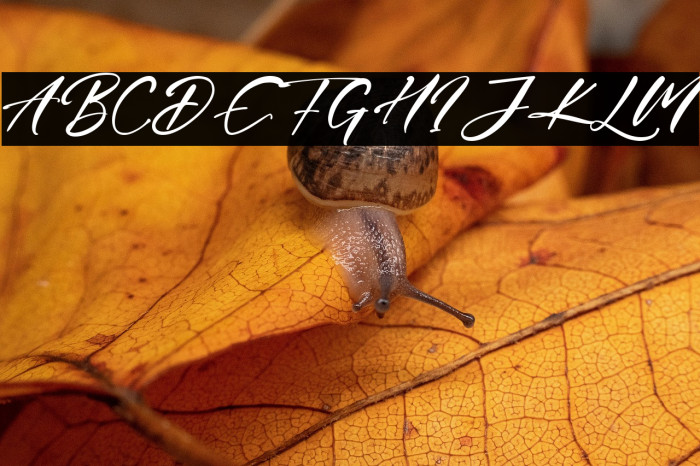 Julian Daniel Example 2