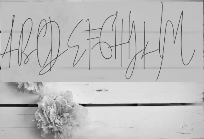 JulianThomas Font examples