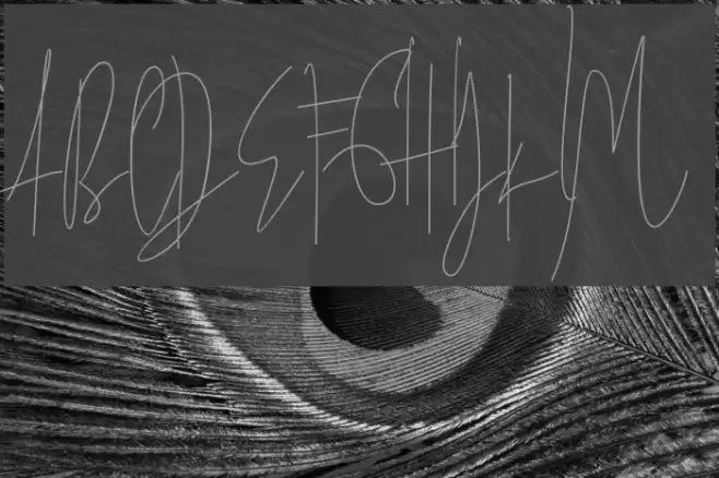 JulianThomas Font examples