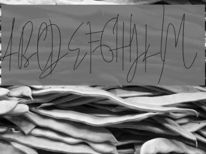 JulianThomas Font examples