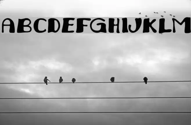 Juliana Font examples