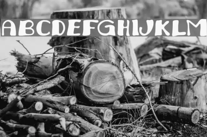 Juliana Font examples