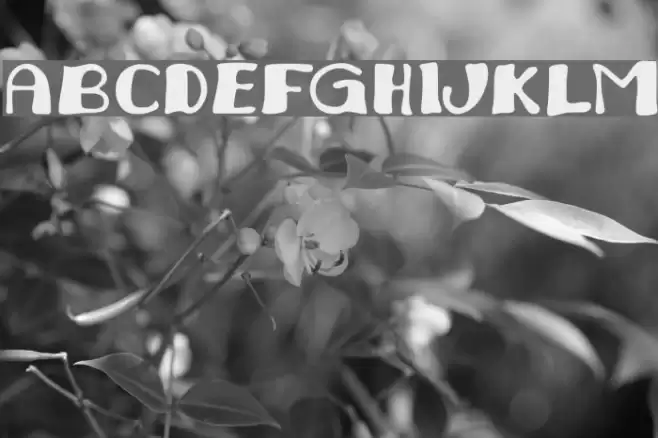 Juliana Font examples