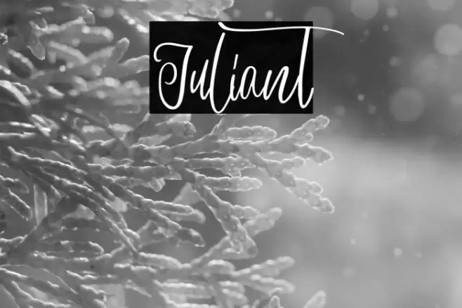 Juliant Caratteri examples