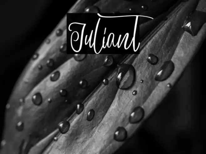 Juliant Caratteri examples