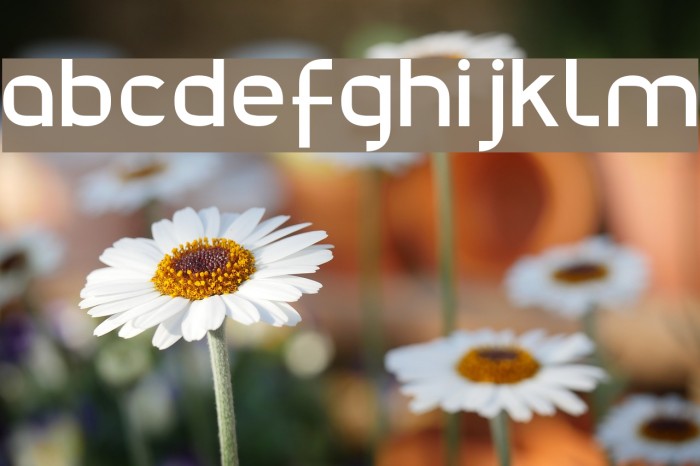 Julie01 Font examples
