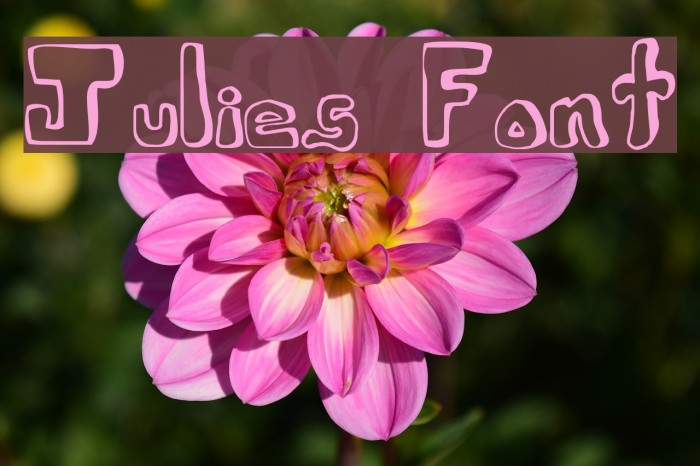 Julies Font Font examples