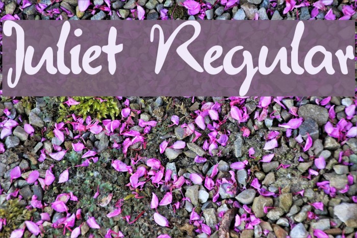 Juliet Regular Font examples