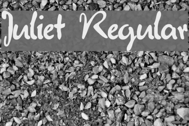 Juliet Regular Schriftart examples