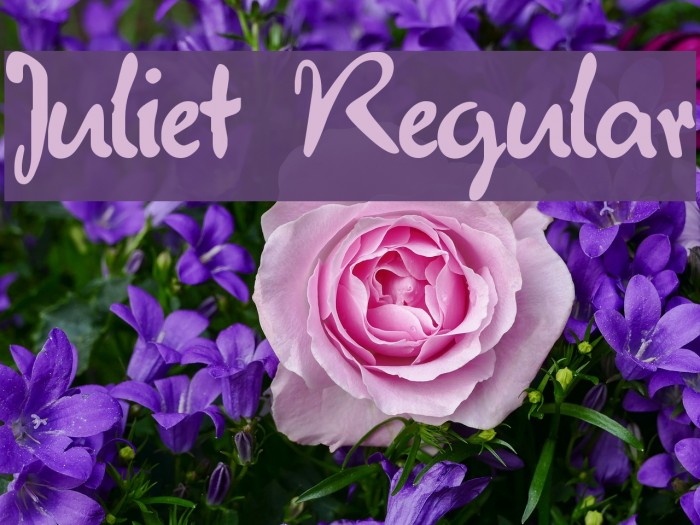 Juliet Regular Font examples
