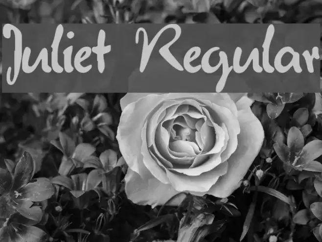 Juliet Regular Schriftart examples