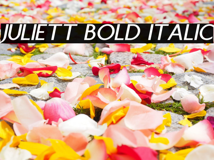 Juliett Bold Italic Example 2