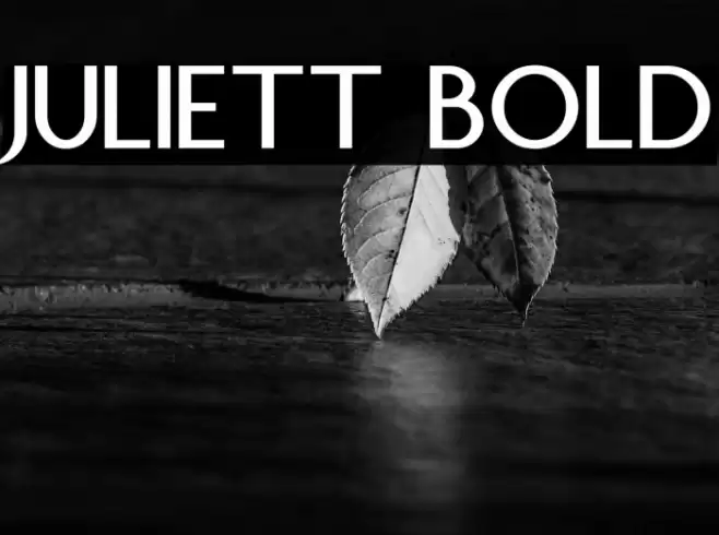 Juliett Bold Schriftart examples
