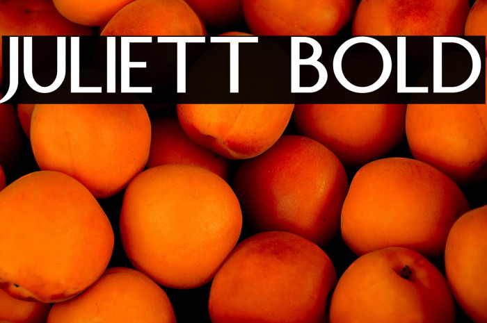 Juliett Bold Example 2