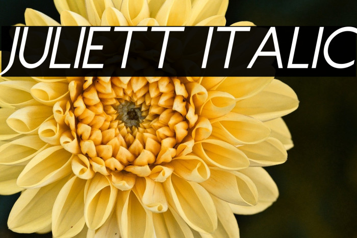 Juliett Italic Example 1