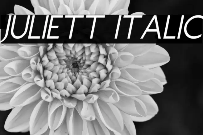Juliett Italic Font examples