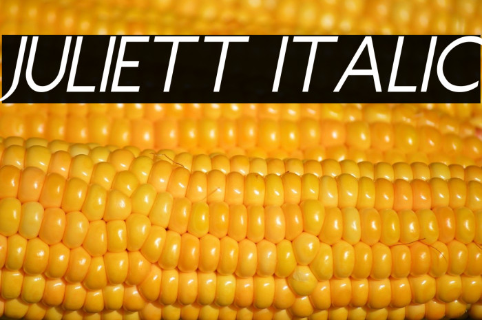 Juliett Italic Example 2