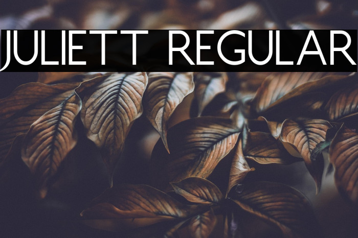 Juliett Regular Example 1