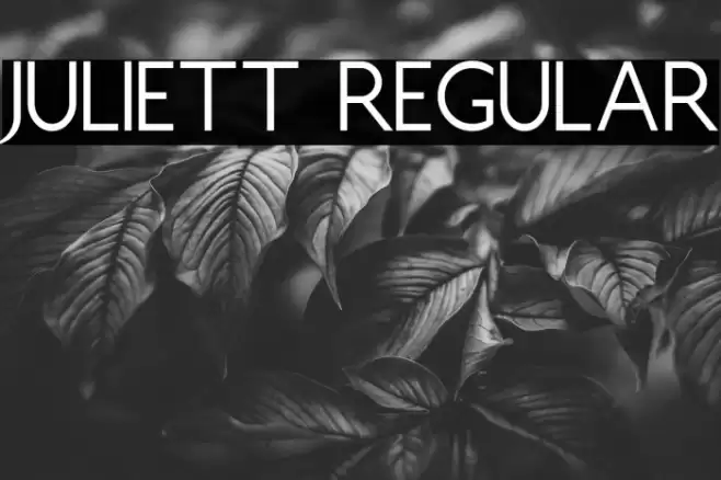 Juliett Regular Font examples