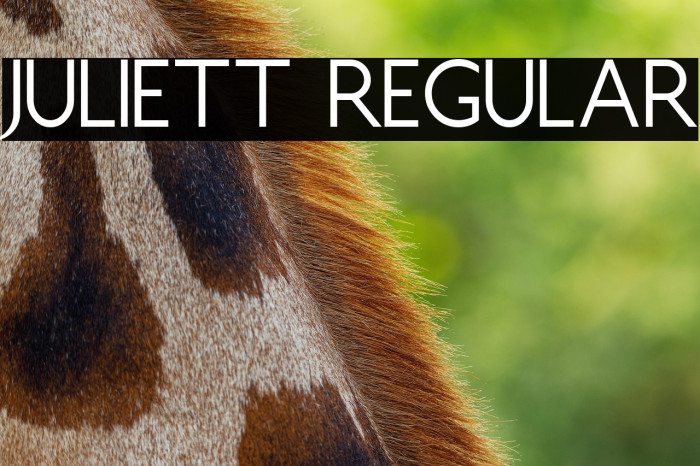 Juliett Regular Example 3